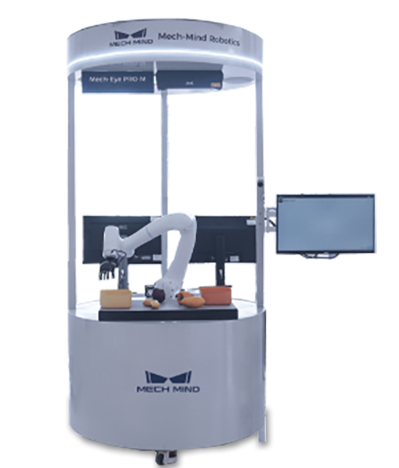 eye-brain-hand robot station